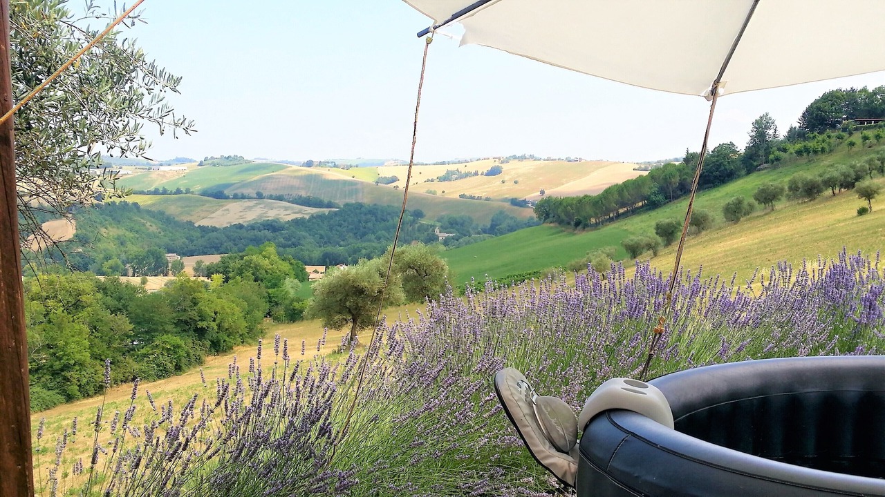 Photo of Outdoor in Mogliano