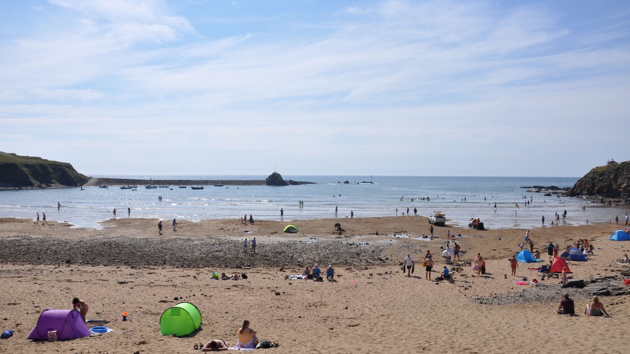 Photo of Others in Bude
