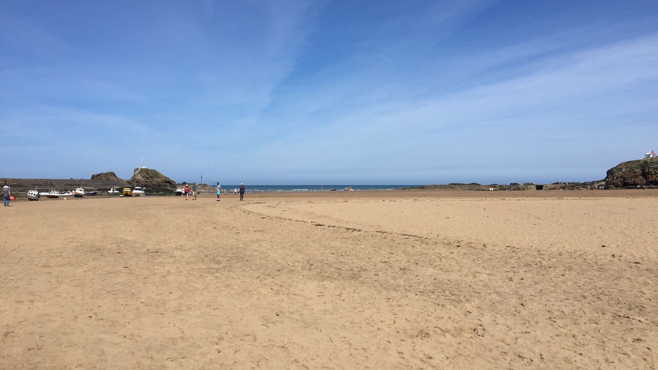 Photo of Others in Bude