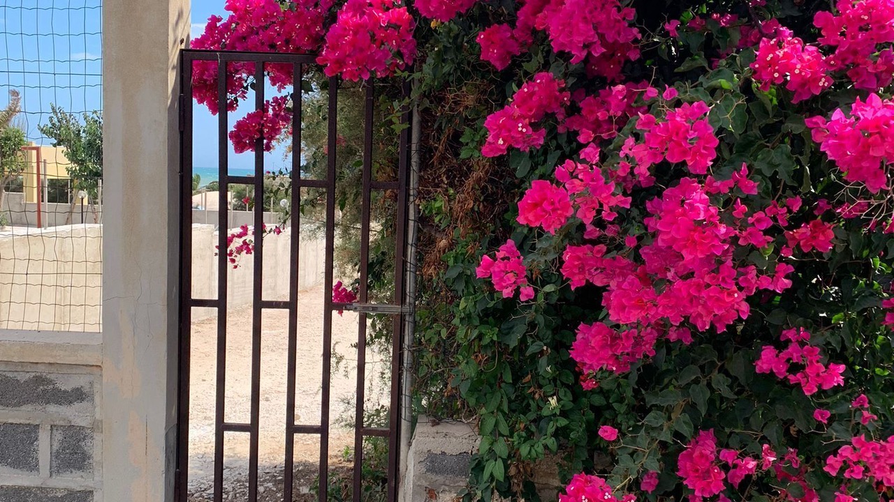 Photo of Outdoor in Punta Braccetto