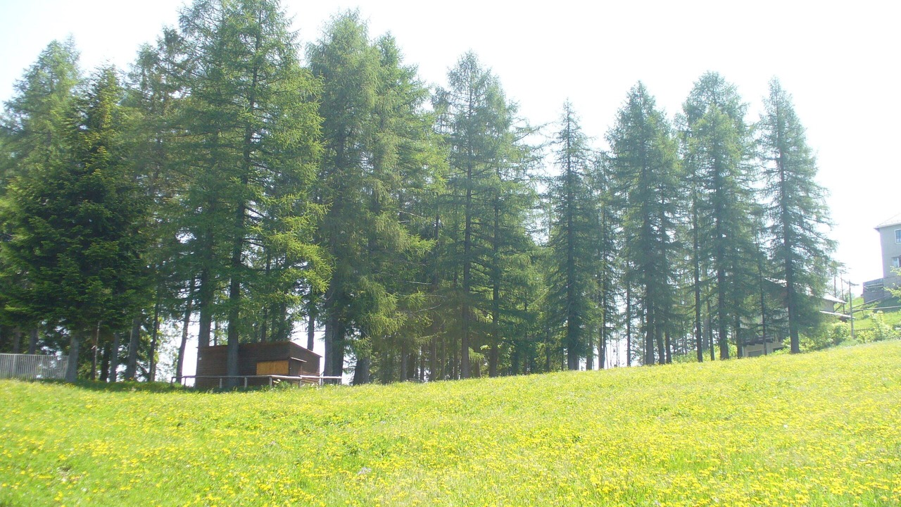 Photo of Outdoor in Caderzone Terme