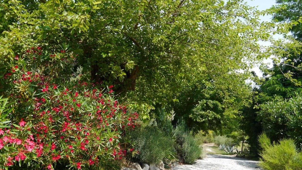 Photo of Outdoor in Cupramontana