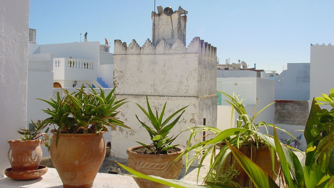 Photo of Others in Medina of Tangier