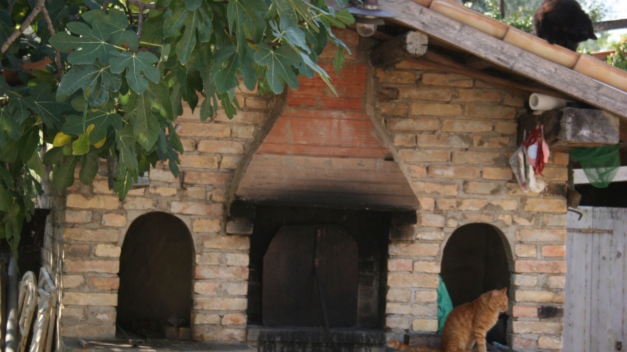 Photo of Outdoor in Citta Sant'Angelo