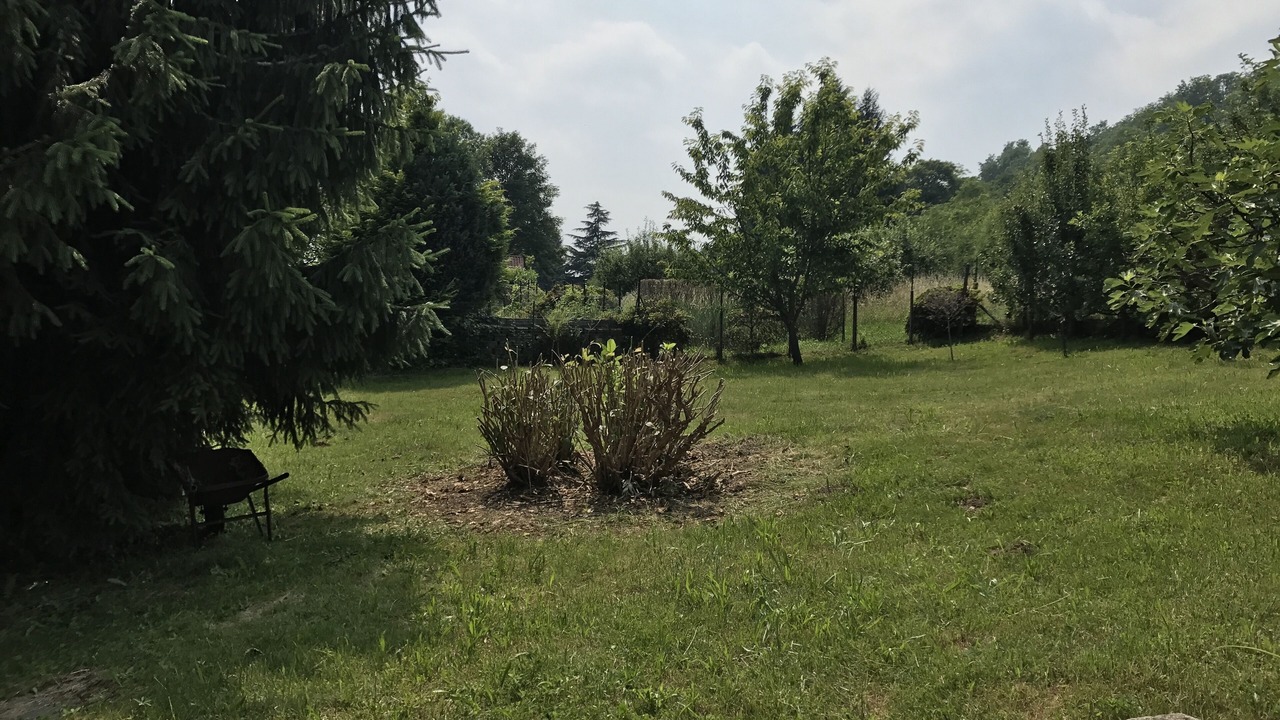Photo of Outdoor in Pisano