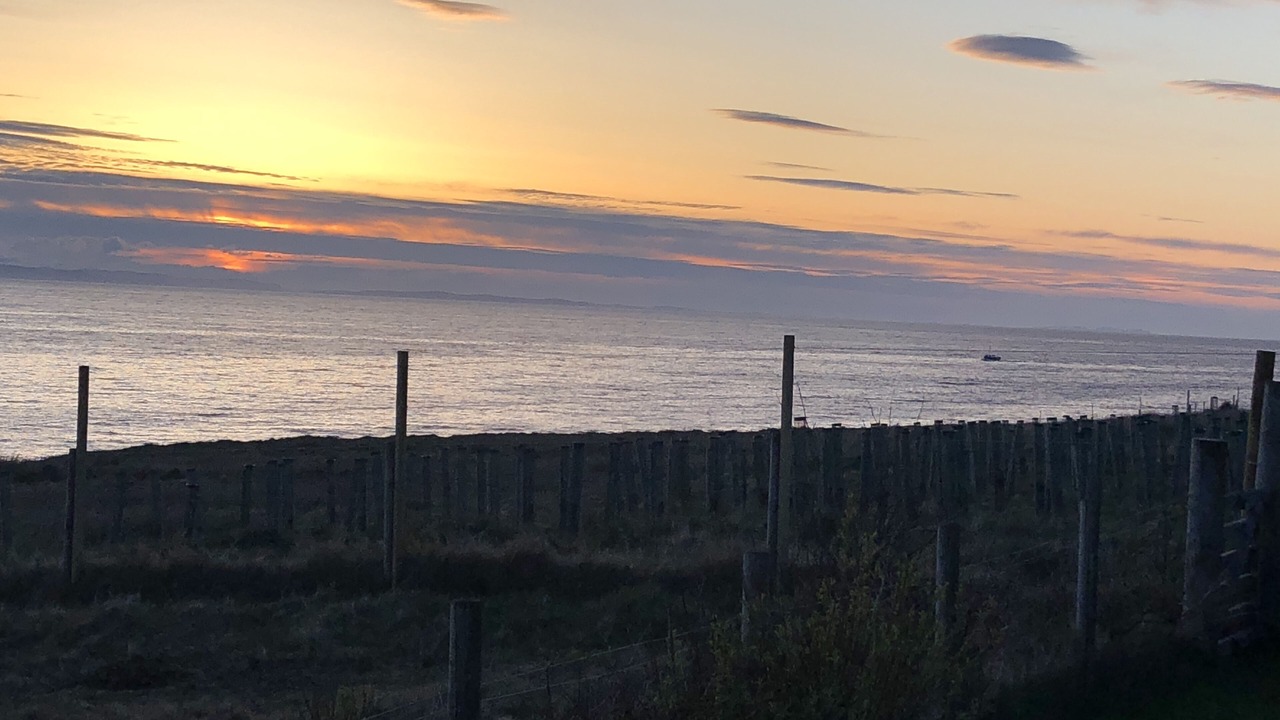 Photo of Others in Melvaig