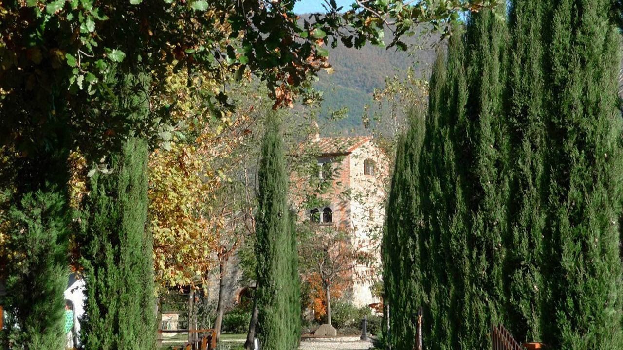 Photo of Others in Cortona