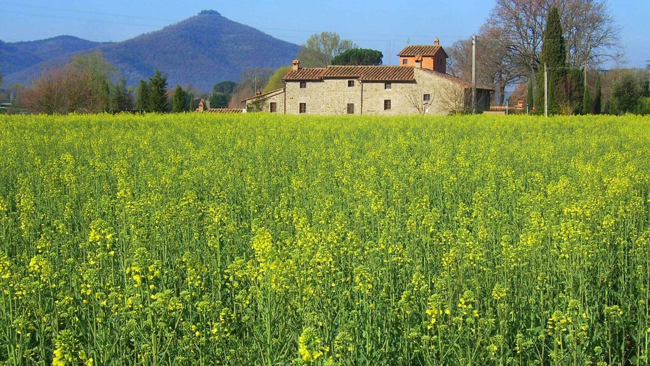 Photo of Others in Cortona