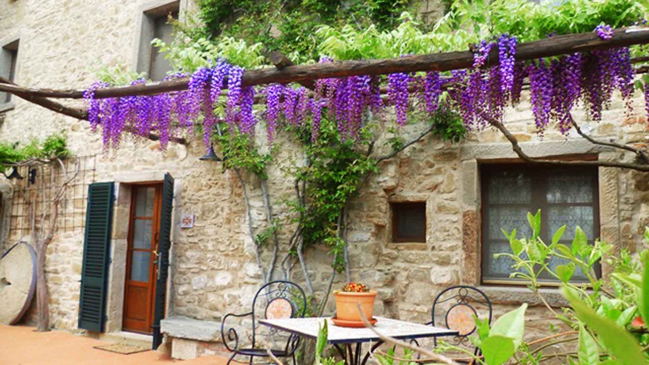 Photo of Others in Cortona