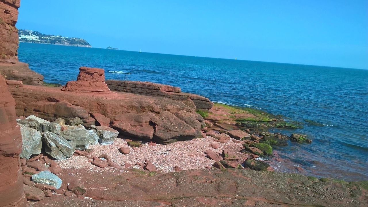 Photo of Others in Paignton