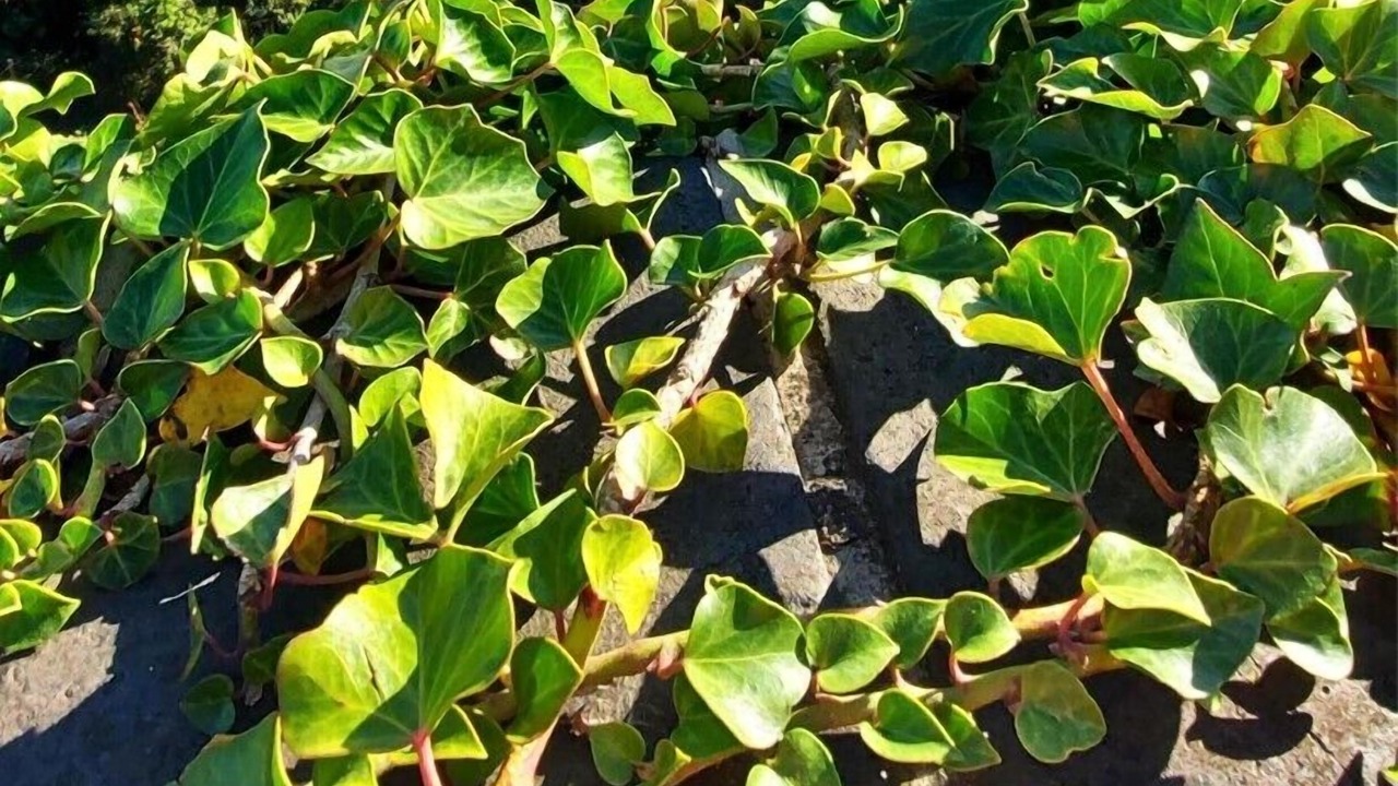 Photo of Outdoor in Paignton