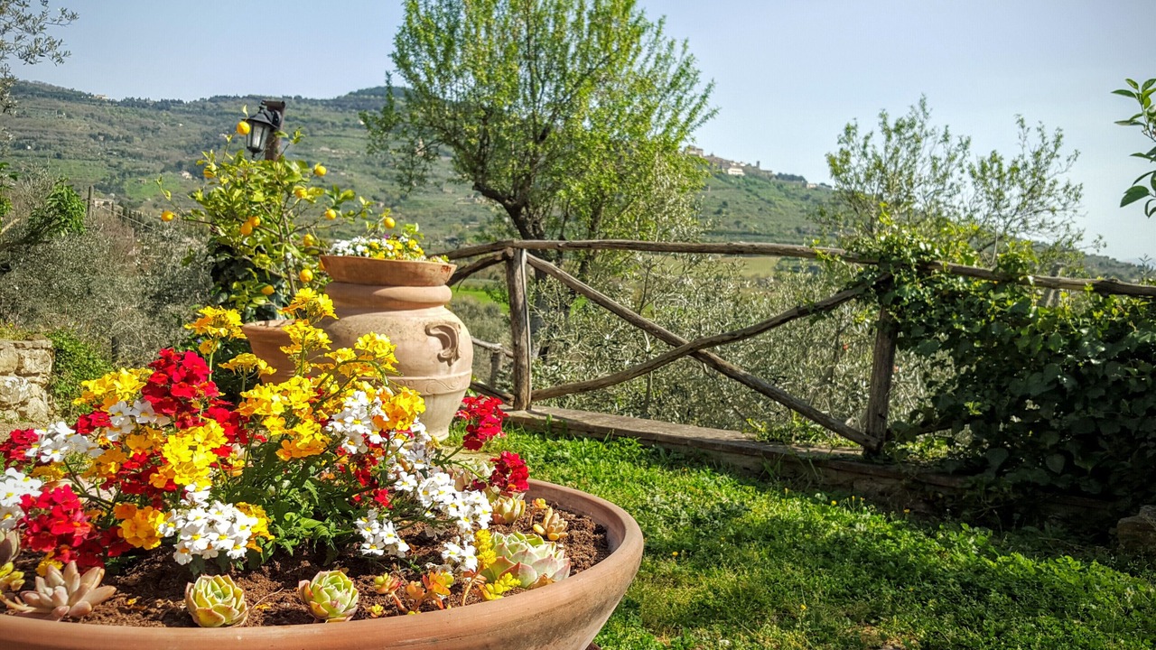 Photo of Outdoor in San Pietro a Cegliolo