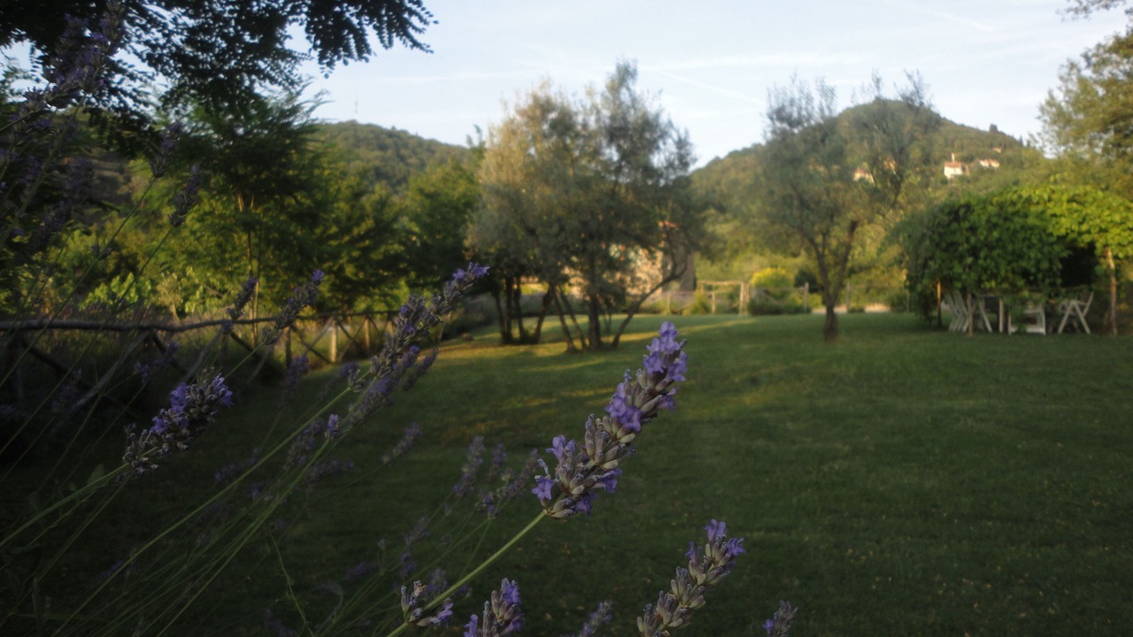 Photo of Outdoor in Greve in Chianti