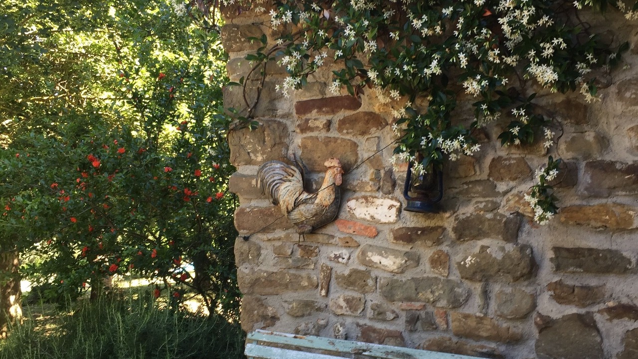 Photo of Outdoor in Greve in Chianti