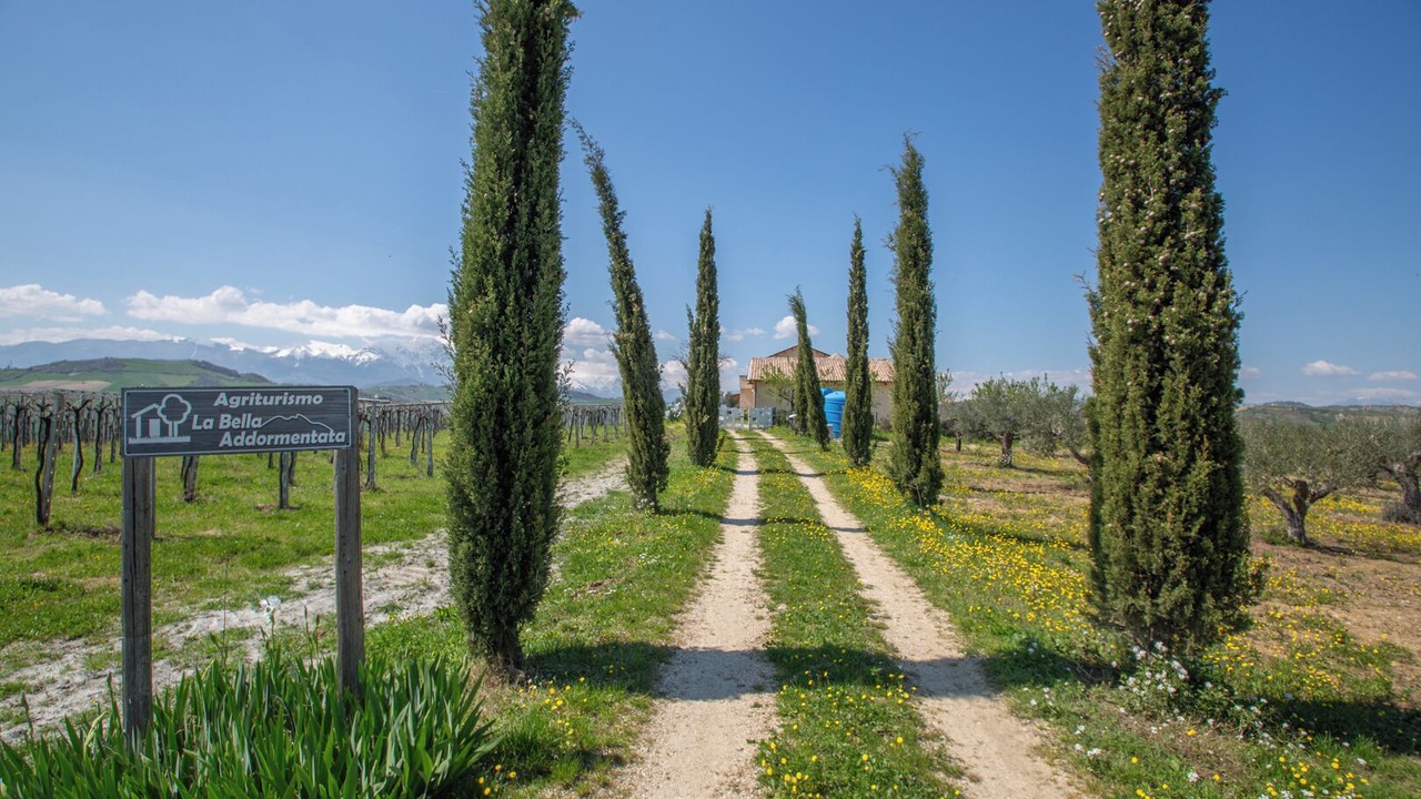 Photo of Others in Castilenti