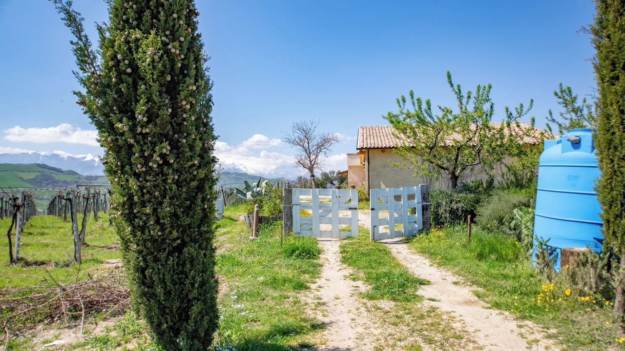 Photo of Outdoor in Castilenti