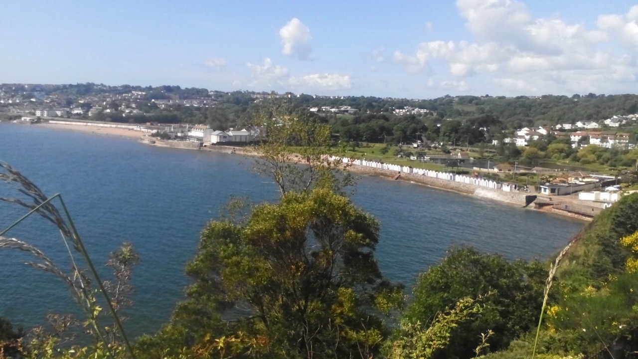 Photo of Others in Paignton