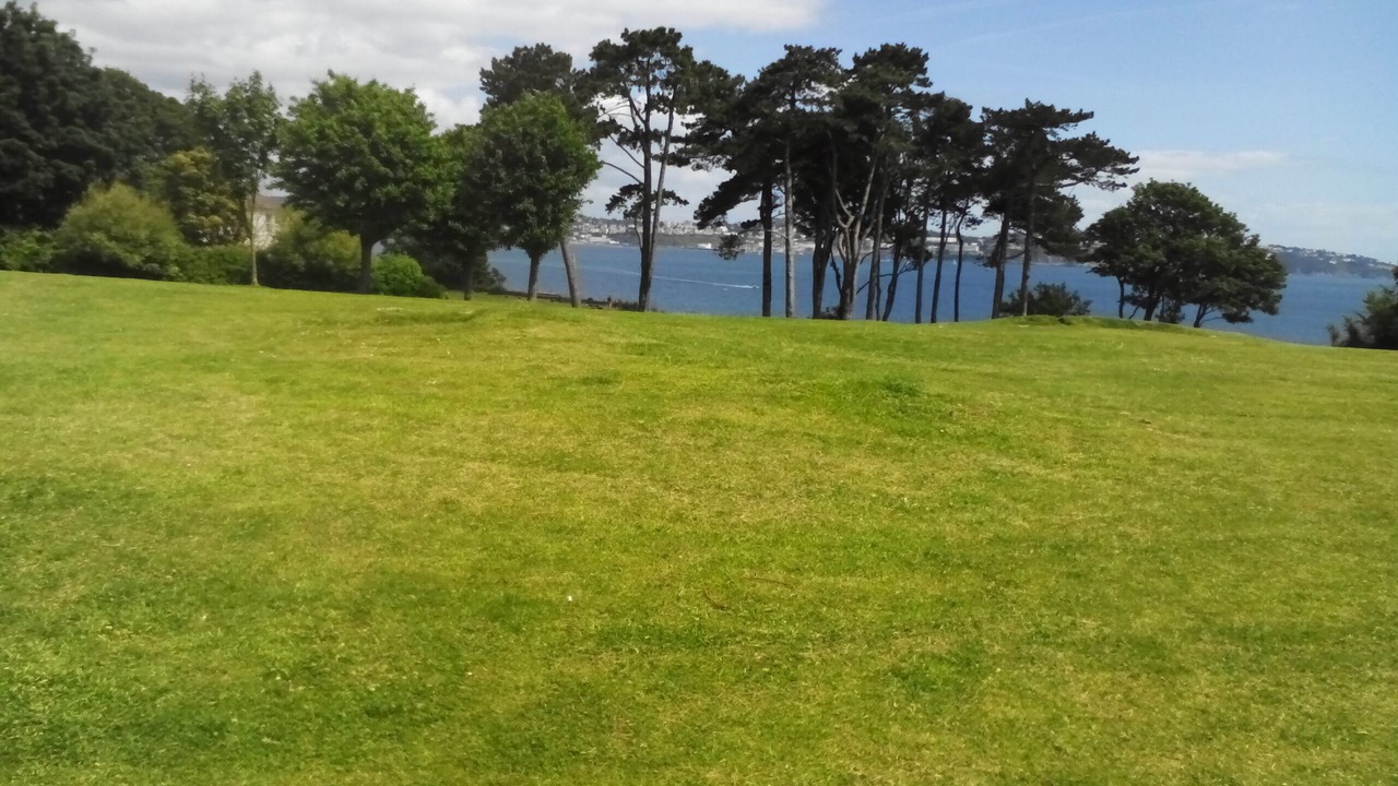 Photo of Others in Paignton