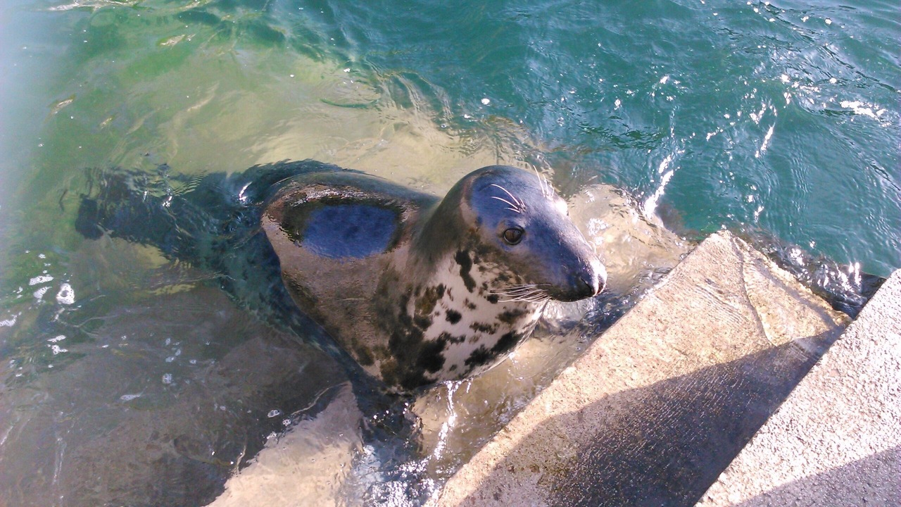 Photo of Outdoor in Paignton