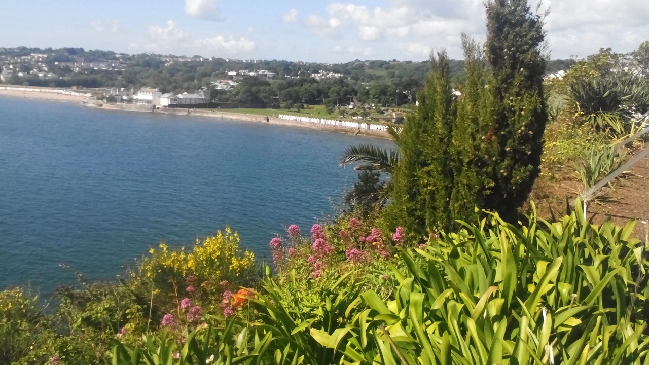 Photo of Others in Paignton