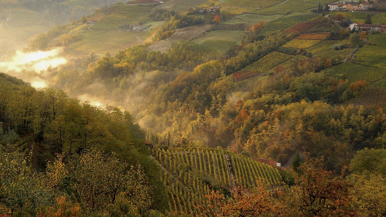 Photo of Outdoor in Verduno