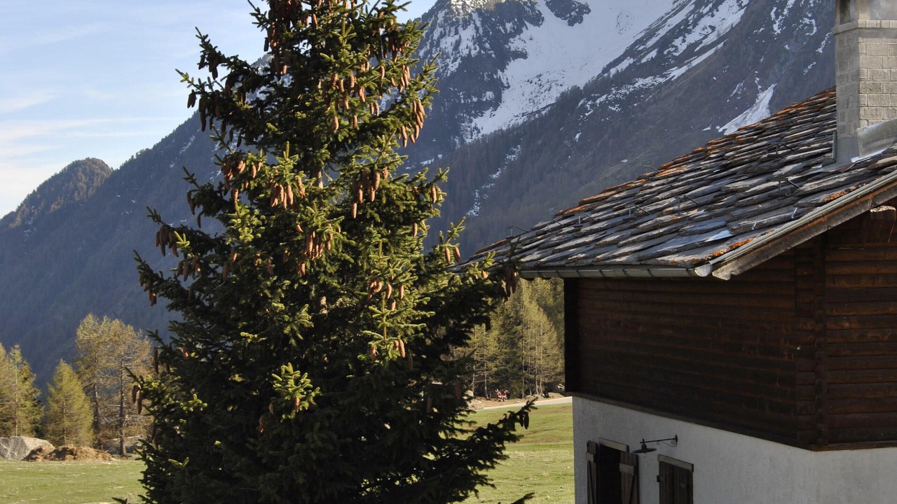 Photo of Outdoor in Frachey