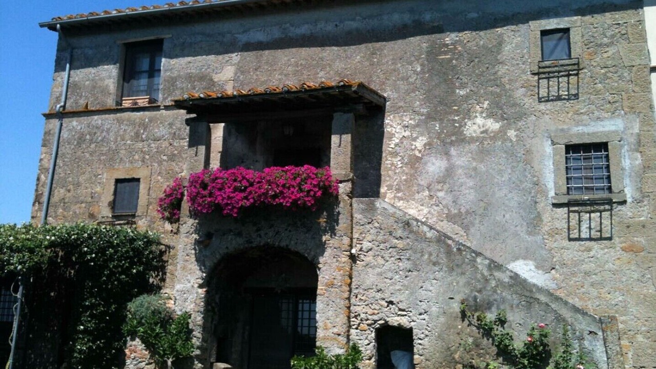 Photo of Outdoor in Vitorchiano
