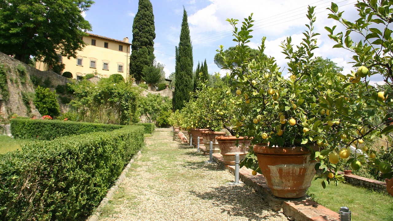 Photo of Outdoor in Romola