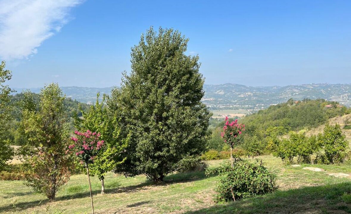 Photo of Outdoor in Cavatore