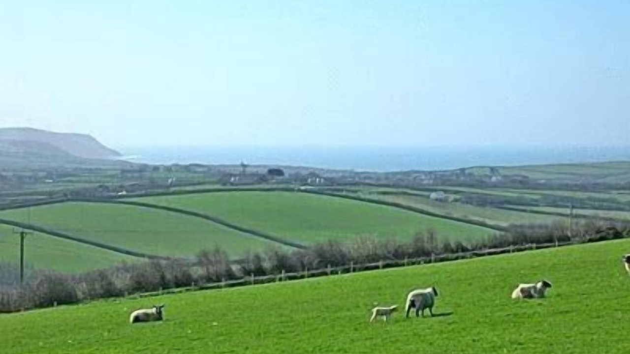 Photo of Others in Bude