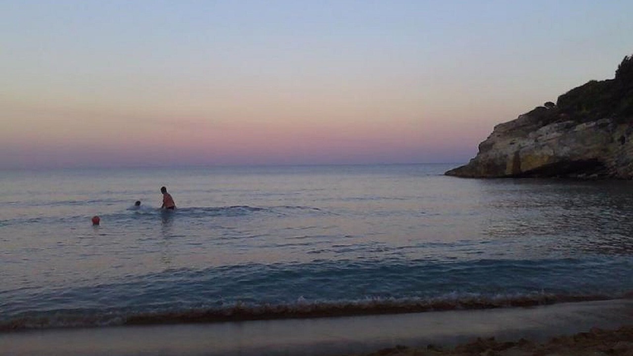 Photo of Others in Gallina