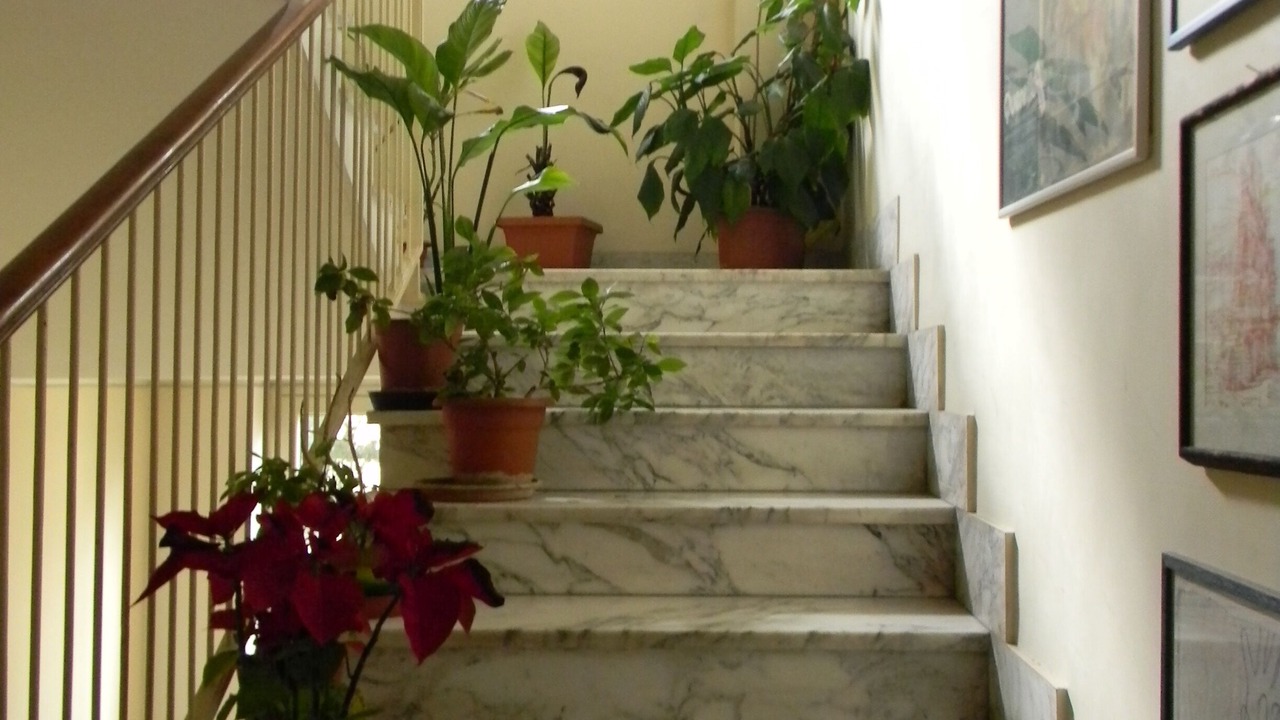 Photo of Others in Gianicolense