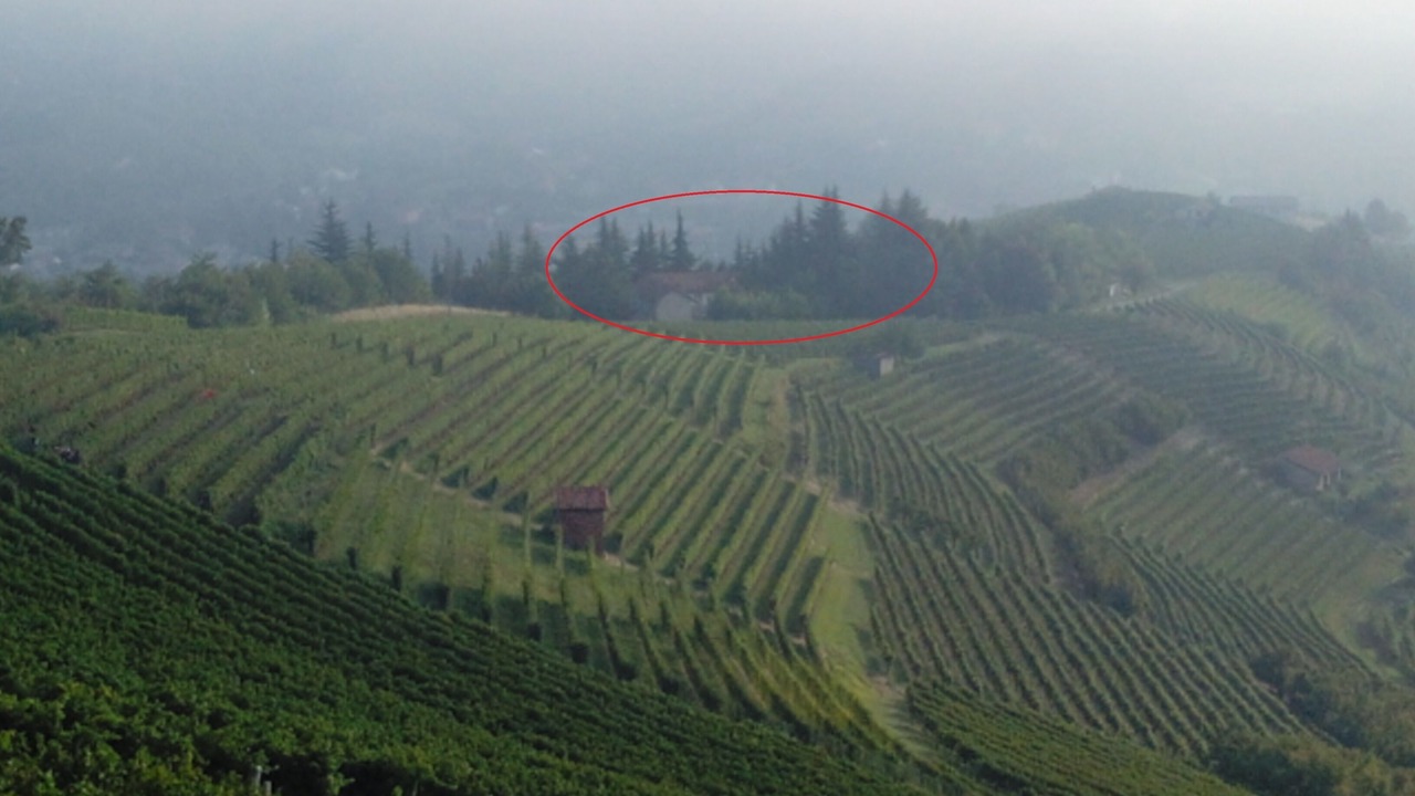 Photo of Outdoor in Diano d'Alba