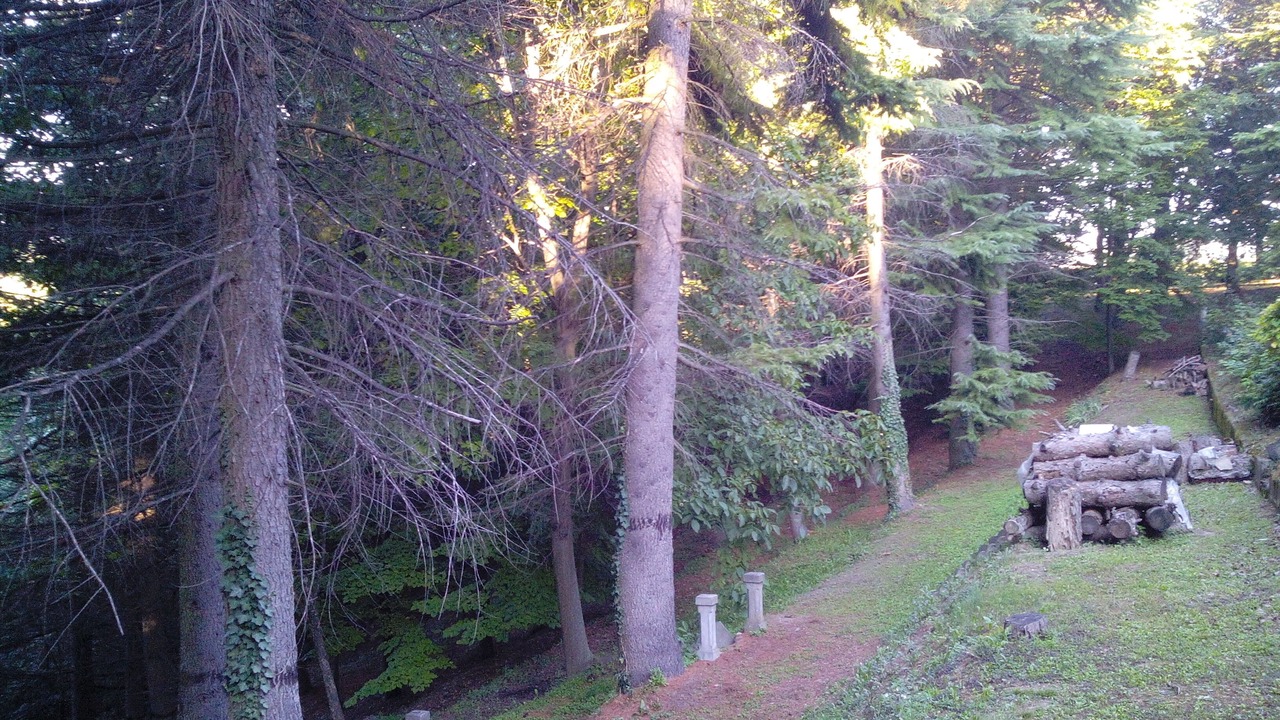 Photo of Outdoor in Diano d'Alba