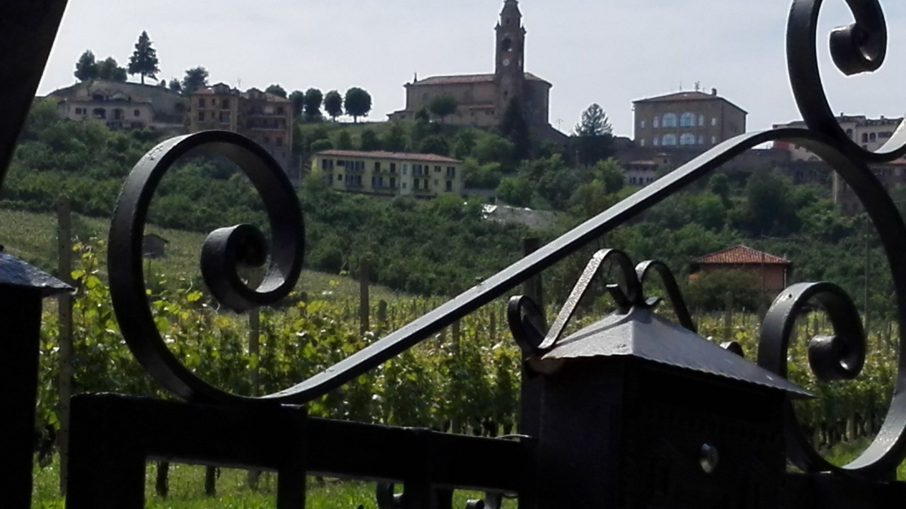 Photo of Outdoor in Diano d'Alba