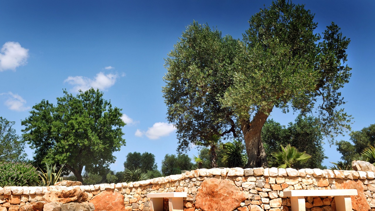 Photo of Outdoor in Ostuni