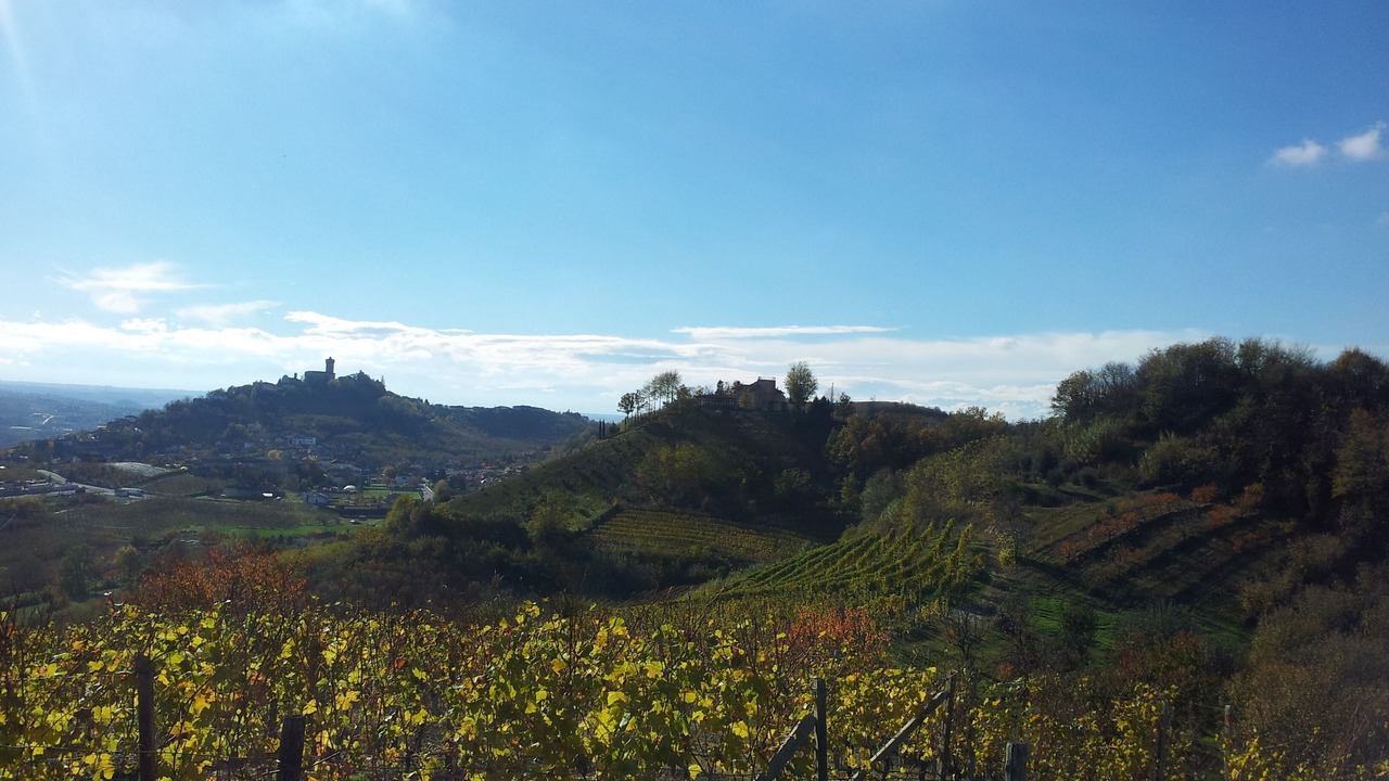 Photo of Outdoor in Borgo