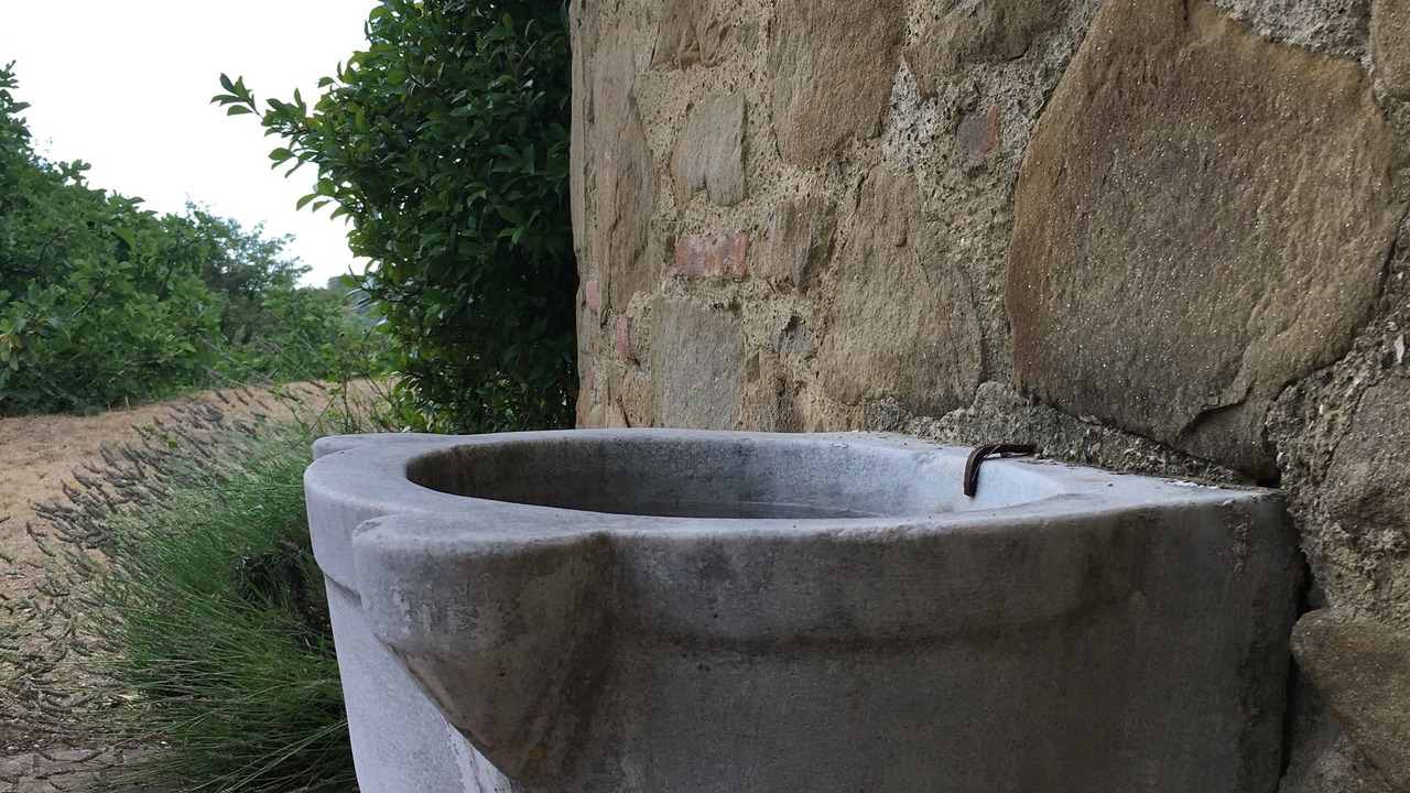 Photo of Outdoor in Gaiole in Chianti