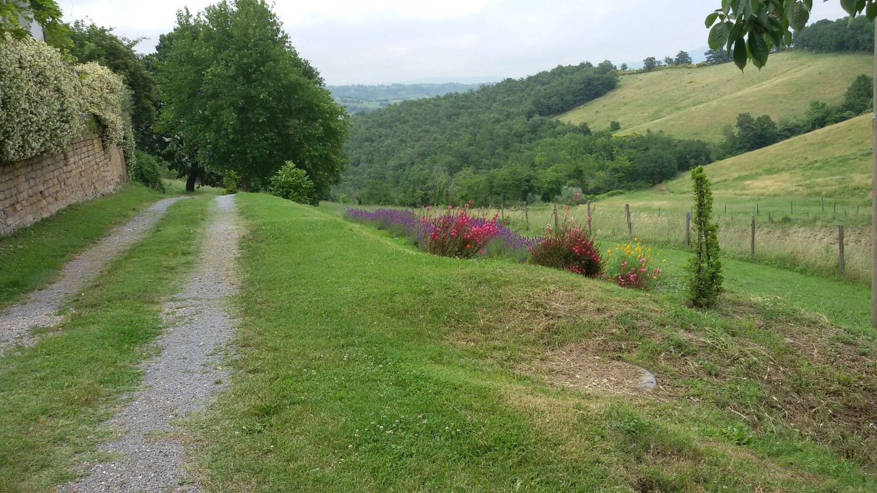 Photo of Outdoor in Bagnoregio