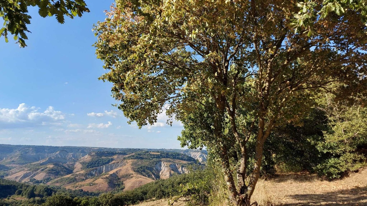 Photo of Outdoor in Bagnoregio