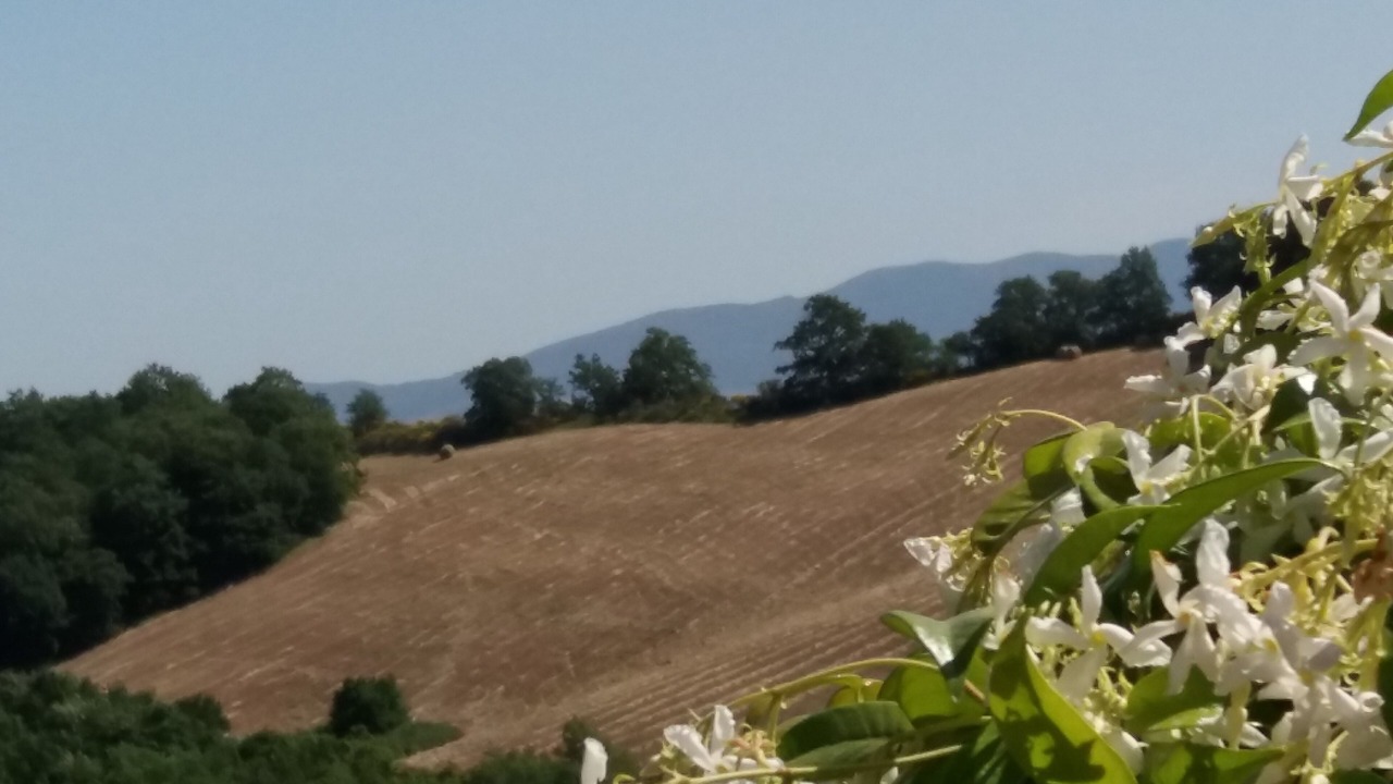 Photo of Outdoor in Bagnoregio