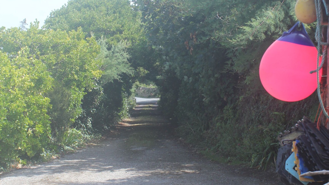 Photo of Others in Padstow