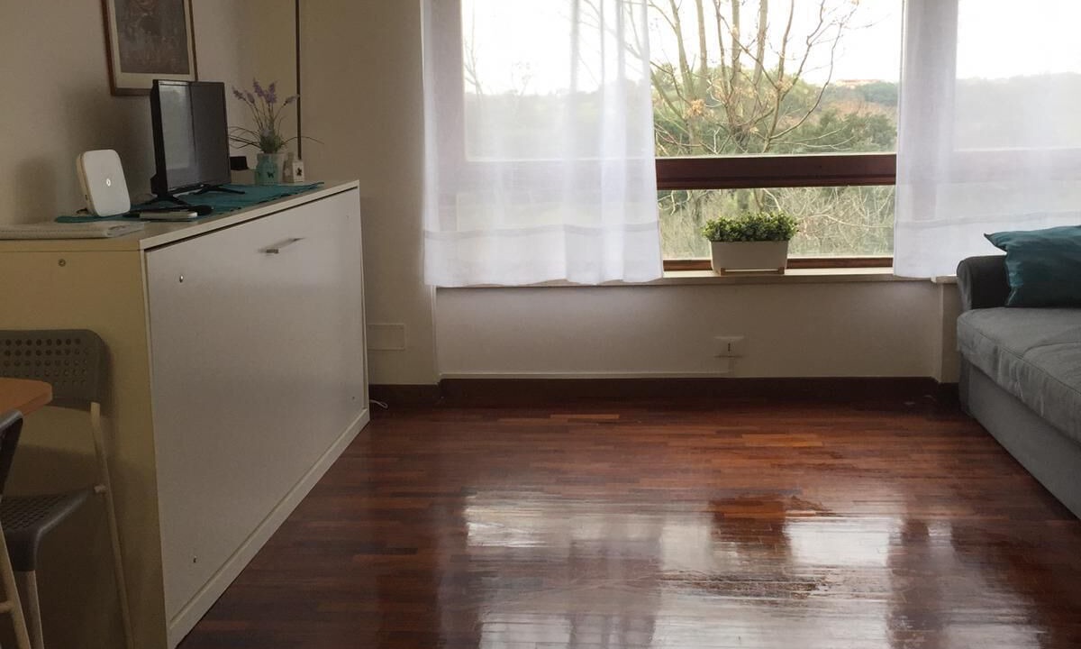 Photo of Livingroom in Suburbio IX Aurelio