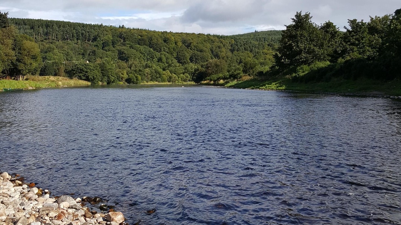 Photo of Others in Rothes