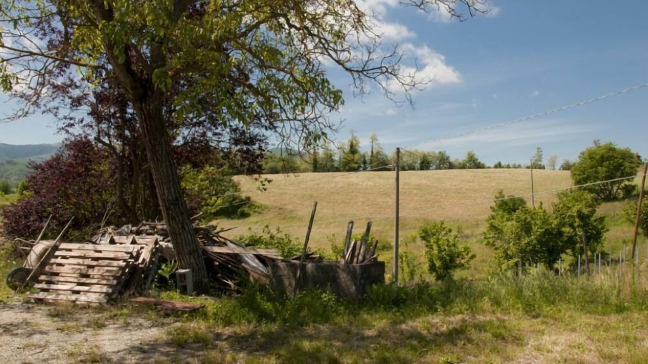 Photo of Outdoor in Spigno Monferrato
