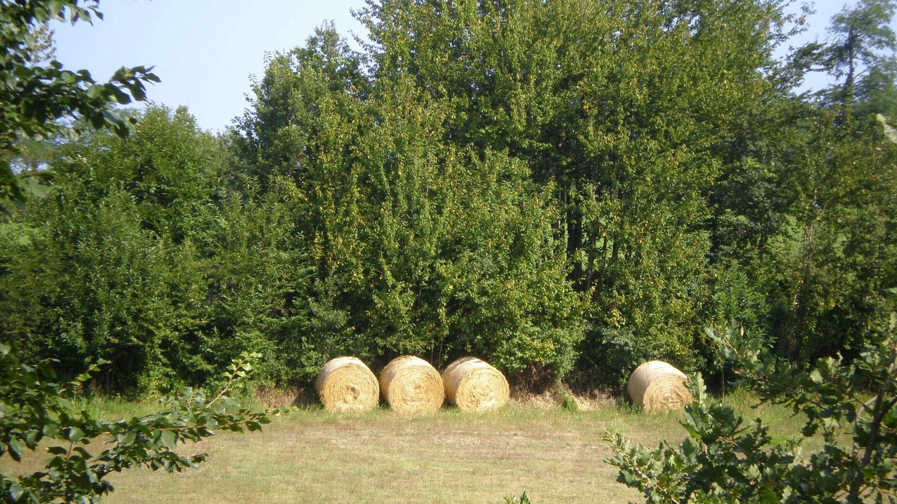 Photo of Outdoor in Spigno Monferrato