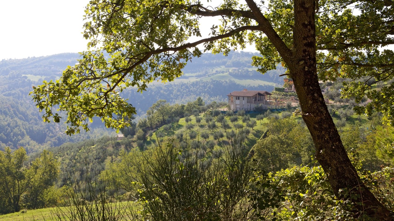Photo of Others in Gualdo Cattaneo