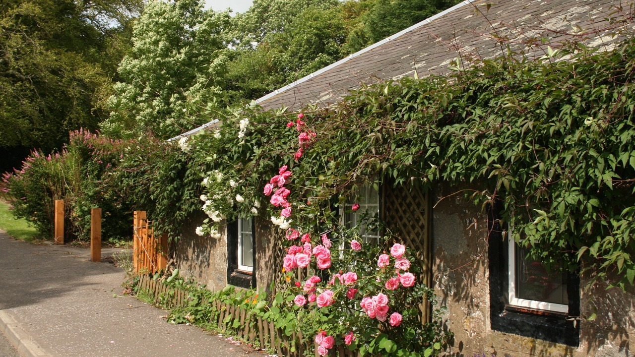 Photo of Outdoor in Straiton