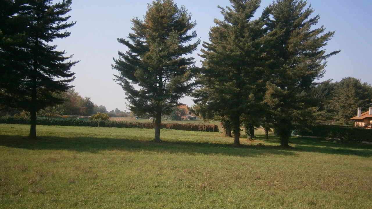 Photo of Others in Montesiro