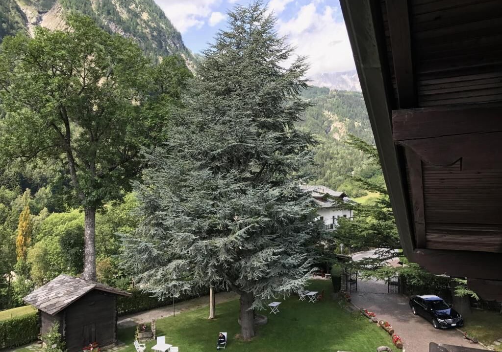 Photo of Outdoor in Pallusieux